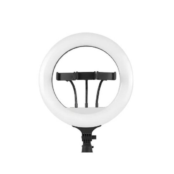 RING LITE 45CM